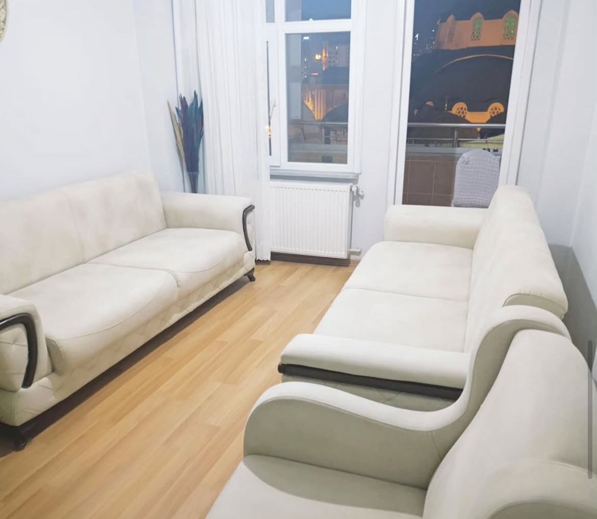 Titiz Koltuk Yıkama